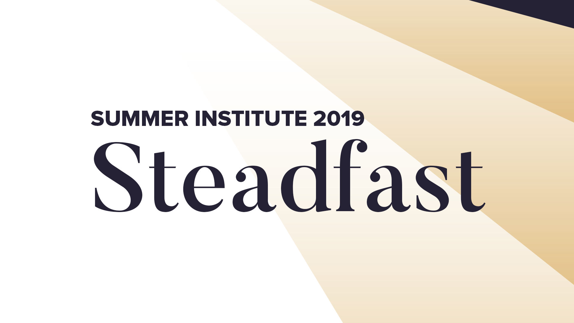 Summer Institute 2019: Steadfast Conference