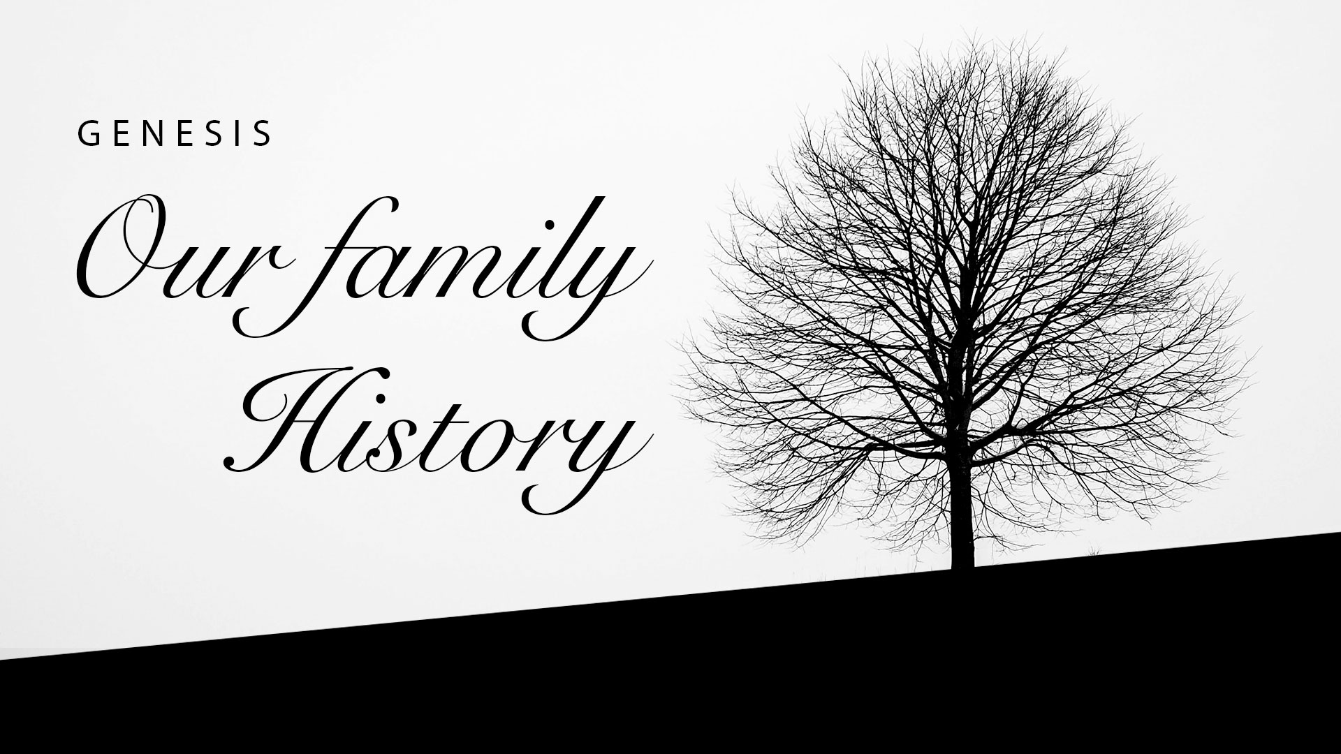 A black tree on a grey background with the words, Genesis: Our Family History written on the left side of the image.